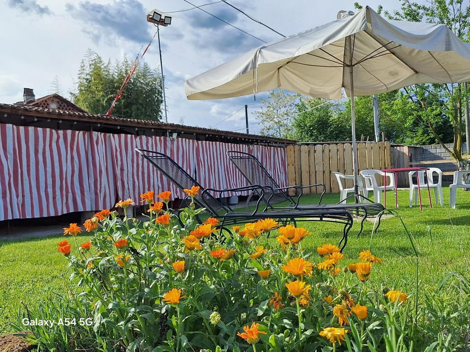 Casa Matilde Villa Leini ภายนอก รูปภาพ