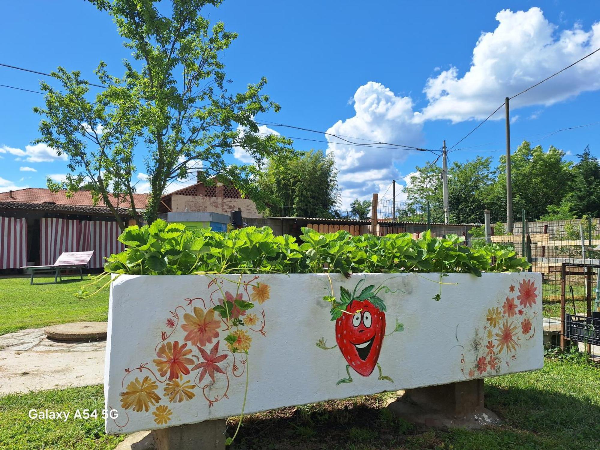 Casa Matilde Villa Leini ภายนอก รูปภาพ